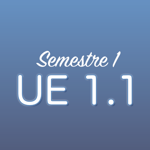 UE 1.1