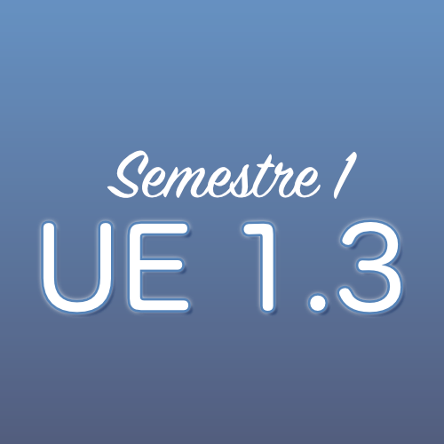 UE 1.3