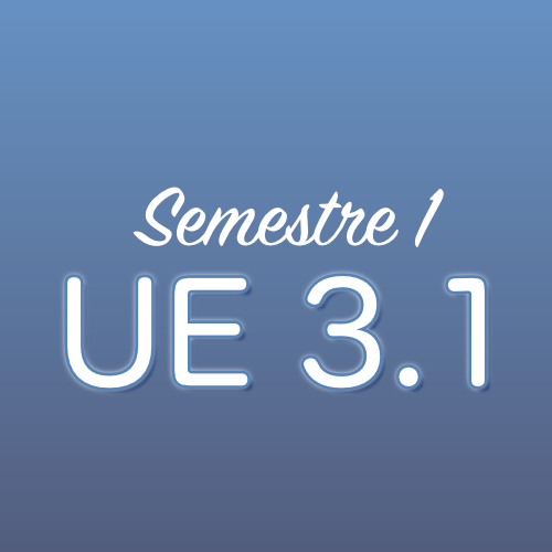 UE 3.1