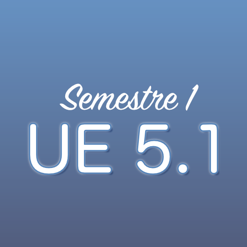 UE 5.1