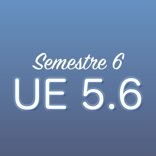 UE 5.6